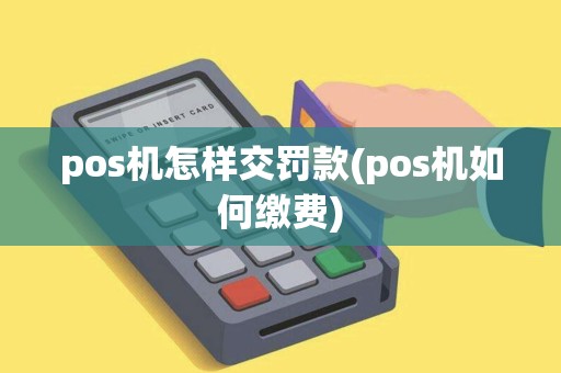 pos机怎样交罚款(pos机如何缴费)