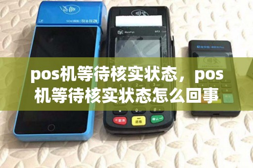 pos机等待核实状态，pos机等待核实状态怎么回事