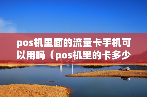 pos机里面的流量卡手机可以用吗（pos机里的卡多少流量）