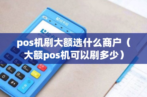 pos机刷大额选什么商户（大额pos机可以刷多少）