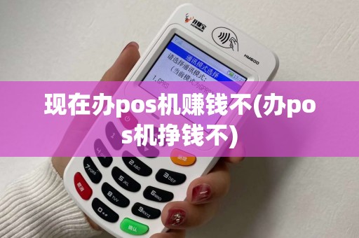现在办pos机赚钱不(办pos机挣钱不)