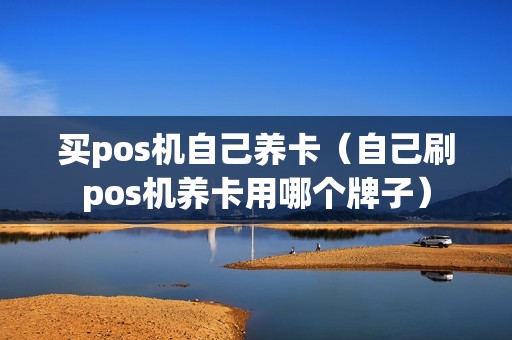 买pos机自己养卡（自己刷pos机养卡用哪个牌子）