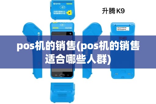 pos机的销售(pos机的销售适合哪些人群)