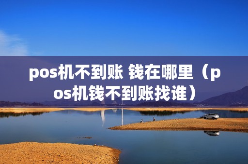 pos机不到账 钱在哪里（pos机钱不到账找谁）