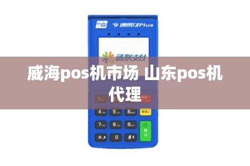 威海pos机市场 山东pos机代理