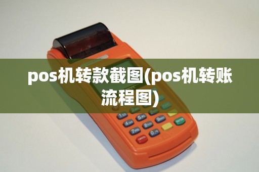 pos机转款截图(pos机转账流程图)