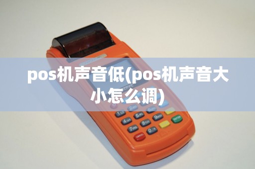 pos机声音低(pos机声音大小怎么调)