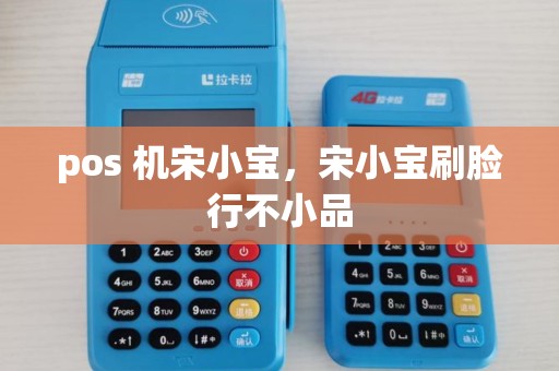 pos 机宋小宝，宋小宝刷脸行不小品