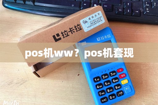 pos机ww？pos机套现