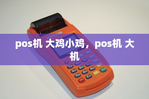 pos机 大鸡小鸡，pos机 大机