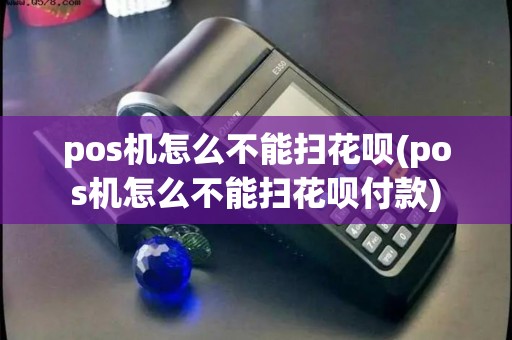 pos机怎么不能扫花呗(pos机怎么不能扫花呗付款)