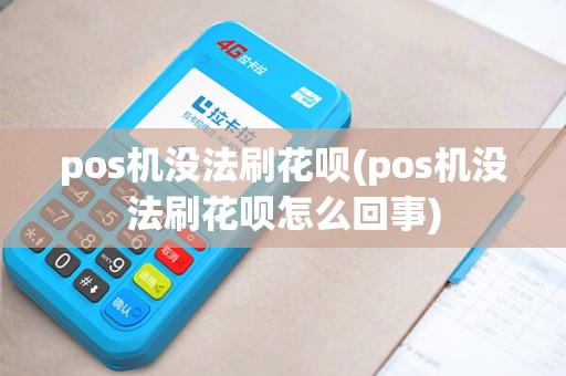 pos机没法刷花呗(pos机没法刷花呗怎么回事)