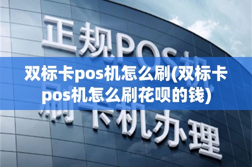 双标卡pos机怎么刷(双标卡pos机怎么刷花呗的钱)