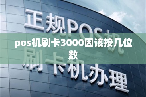 pos机刷卡3000因该按几位数
