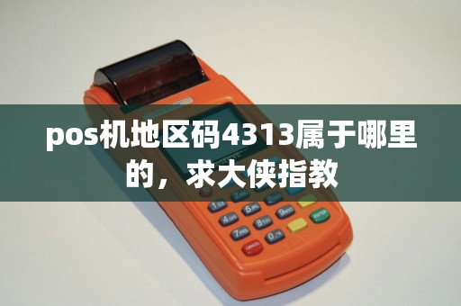 pos机地区码4313属于哪里的，求大侠指教