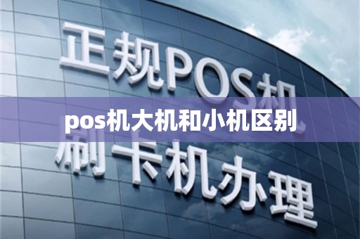 pos机大机和小机区别