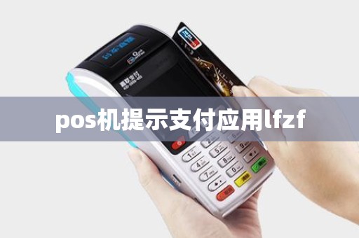 pos机提示支付应用lfzf