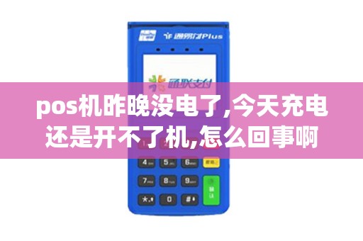 pos机昨晚没电了,今天充电还是开不了机,怎么回事啊