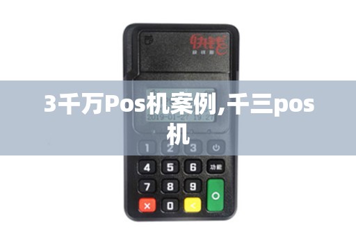 3千万Pos机案例,千三pos机