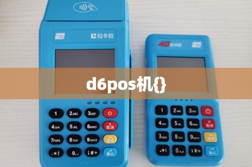 d6pos机{}