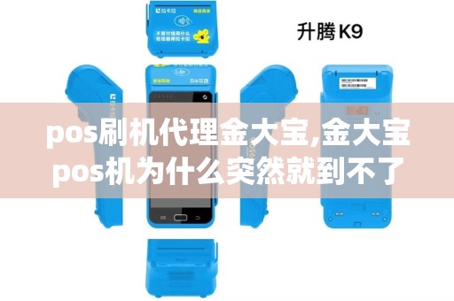 pos刷机代理金大宝,金大宝pos机为什么突然就到不了账了