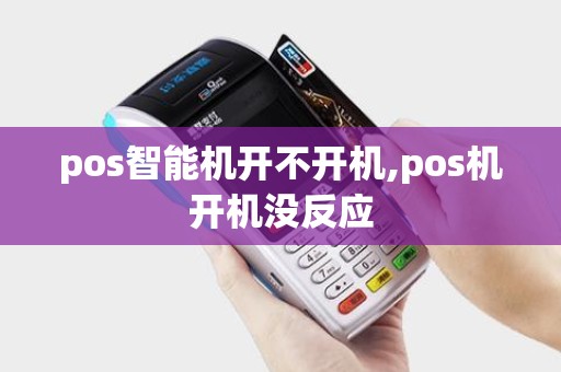 pos智能机开不开机,pos机开机没反应