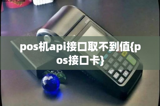 pos机api接口取不到值{pos接口卡}