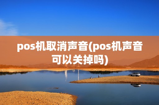 pos机取消声音(pos机声音可以关掉吗)