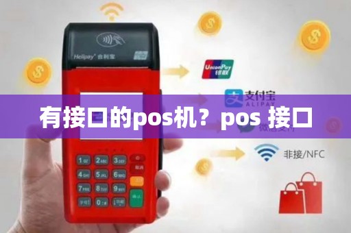 有接口的pos机？pos 接口
