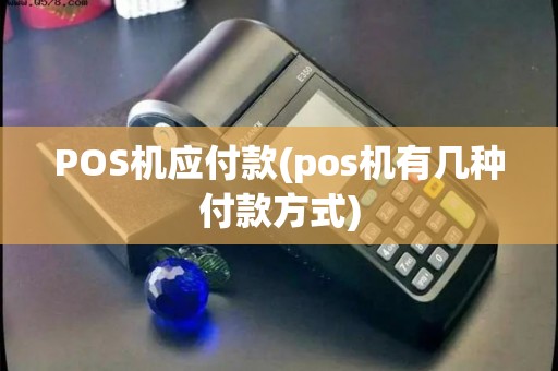 POS机应付款(pos机有几种付款方式)
