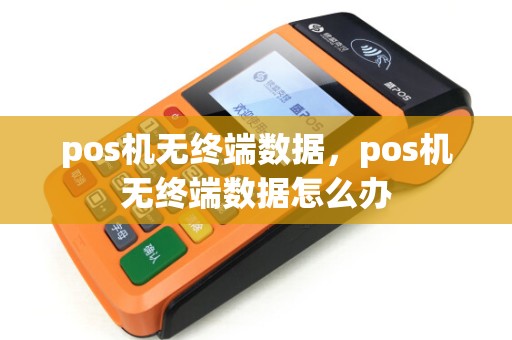 pos机无终端数据，pos机无终端数据怎么办