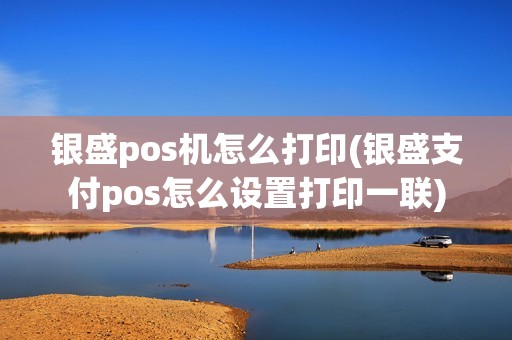 银盛pos机怎么打印(银盛支付pos怎么设置打印一联)