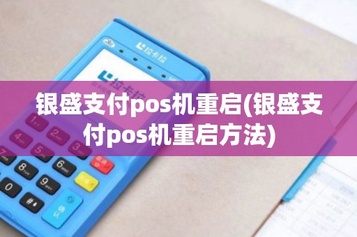 银盛支付pos机重启(银盛支付pos机重启方法)