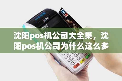 沈阳pos机公司大全集，沈阳pos机公司为什么这么多