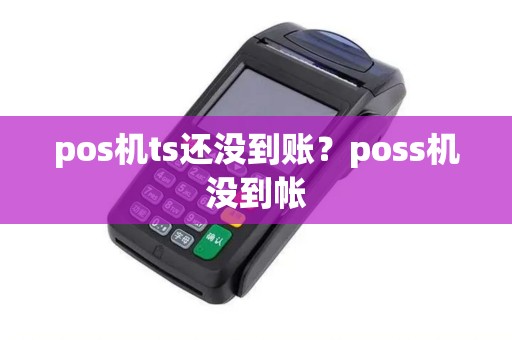 pos机ts还没到账？poss机没到帐