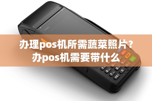 办理pos机所需蔬菜照片？办pos机需要带什么