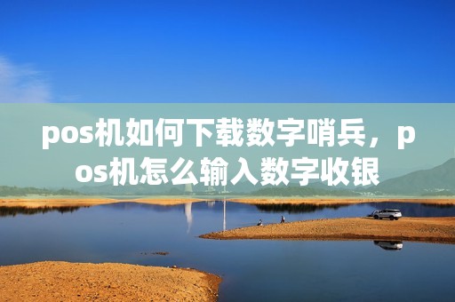 pos机如何下载数字哨兵，pos机怎么输入数字收银