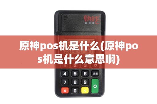 原神pos机是什么(原神pos机是什么意思啊)