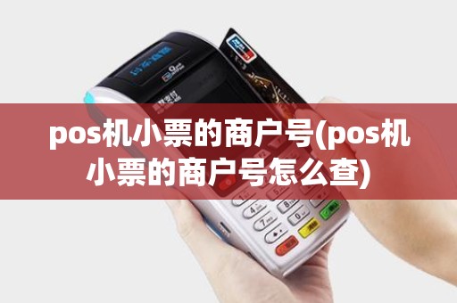 pos机小票的商户号(pos机小票的商户号怎么查)