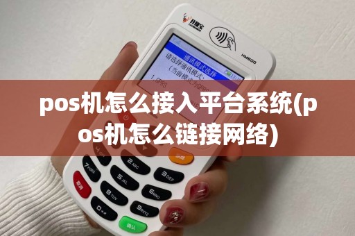 pos机怎么接入平台系统(pos机怎么链接网络)