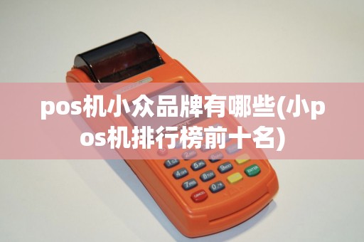 pos机小众品牌有哪些(小pos机排行榜前十名)