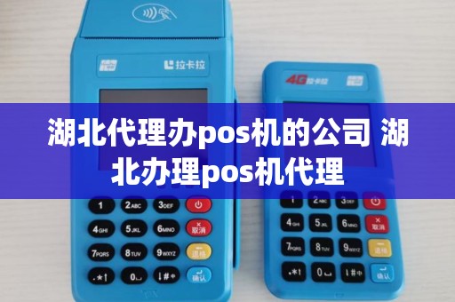 湖北代理办pos机的公司 湖北办理pos机代理
