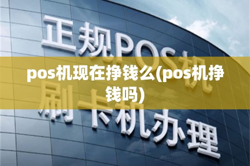 pos机现在挣钱么(pos机挣钱吗)