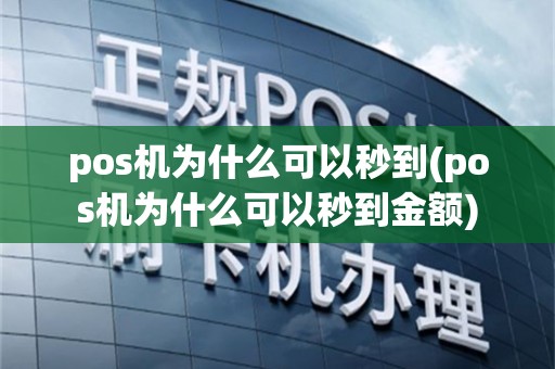 pos机为什么可以秒到(pos机为什么可以秒到金额)