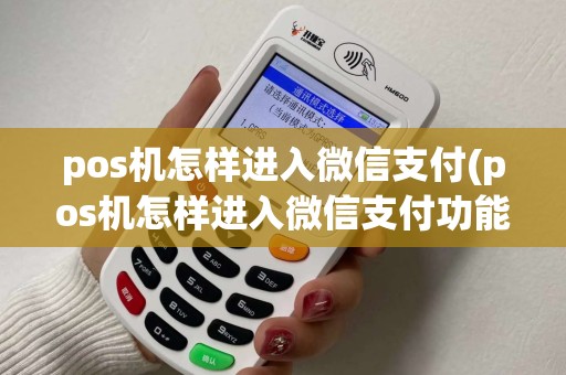 pos机怎样进入微信支付(pos机怎样进入微信支付功能)