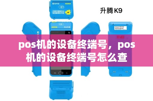 pos机的设备终端号，pos机的设备终端号怎么查