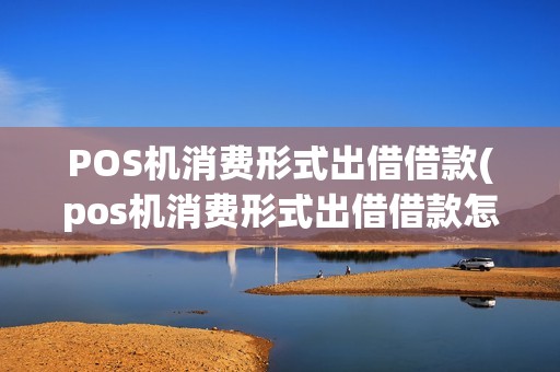 POS机消费形式出借借款(pos机消费形式出借借款怎么处理)