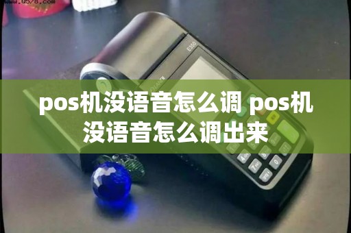 pos机没语音怎么调 pos机没语音怎么调出来
