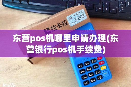 东营pos机哪里申请办理(东营银行pos机手续费)