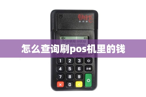 怎么查询刷pos机里的钱
